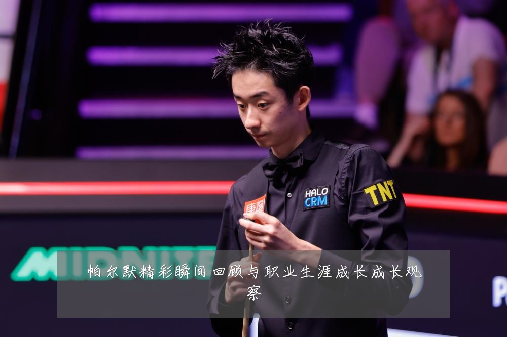 帕尔默精彩瞬间回顾与职业生涯成长成长观察